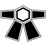 Illustration d'une ceinture de judo noire pour illustrer la formation Black Belt Lean Six Sigma